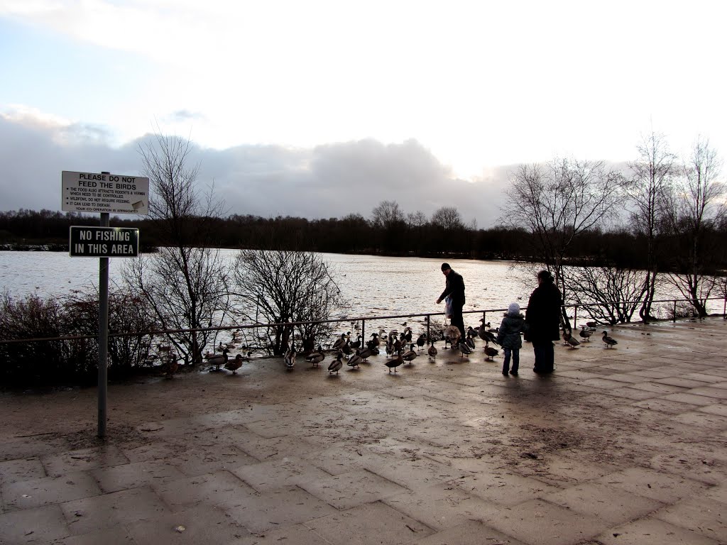 Lochend Loch,Drumpeller Park.(2126) by Portmoreloch