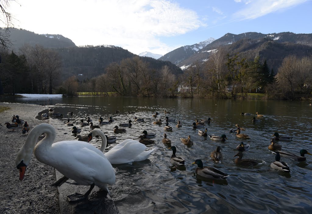 Am Giessensee Bad Ragaz by A.Winzer