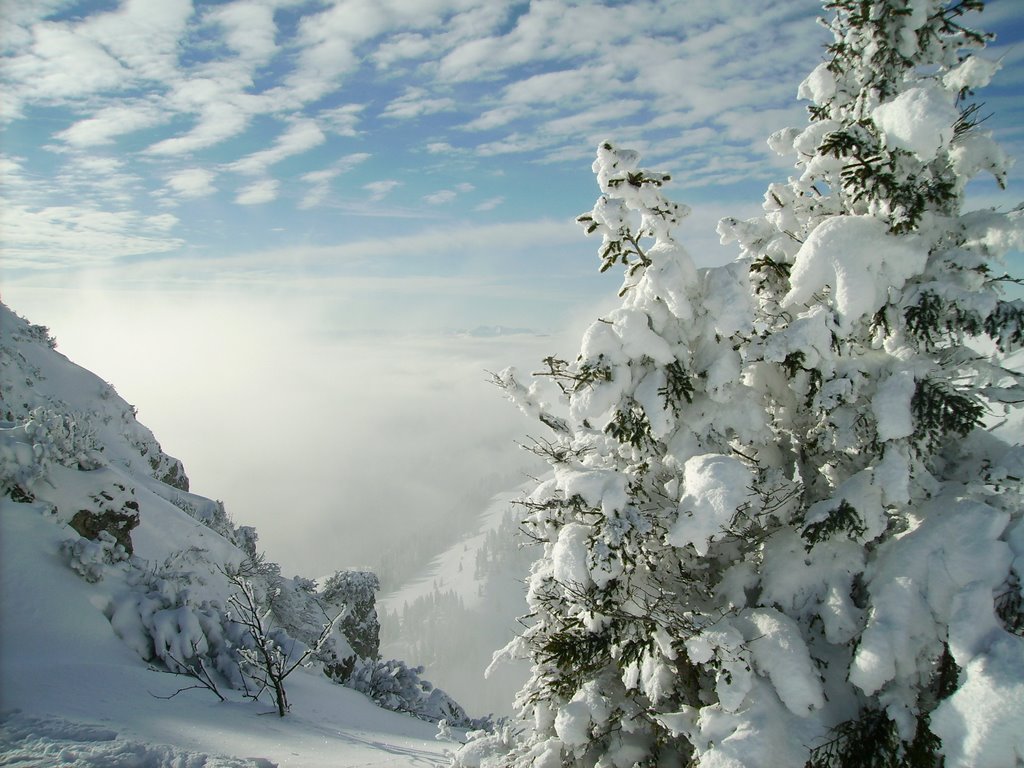 Käferlschneid im Winter by Wolfgang Küfner