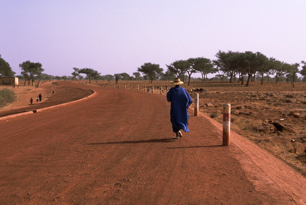 A road at the west of Bandiagara by N.Yamada