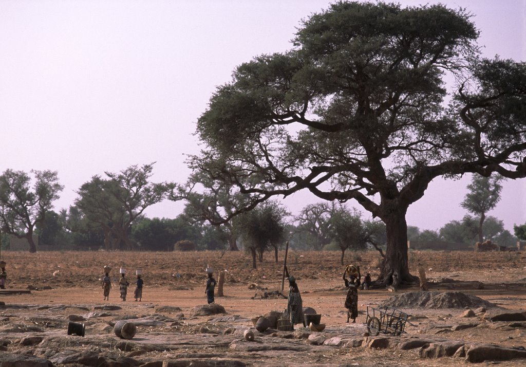 A scenery at the west of Bandiagara by N.Yamada