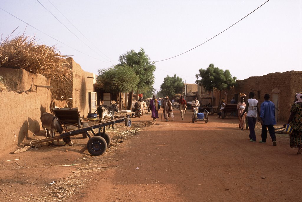 A scenery in Bandiagara by N.Yamada