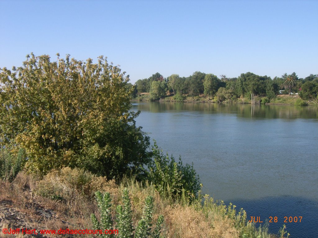 Sacramento River by Jeff Hart