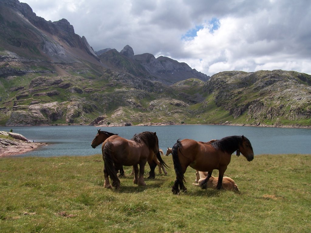 Caballos pastando en Ibón de Estanés by Pascual Asensio Sánc…