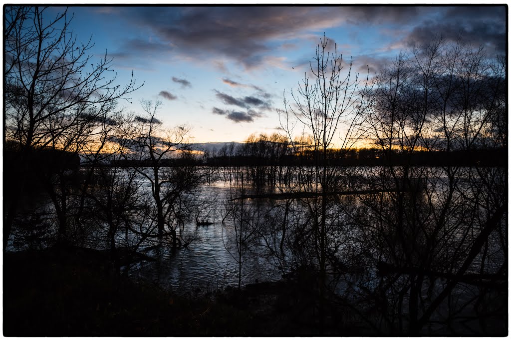 Rhine w. High Water by Marc Mars