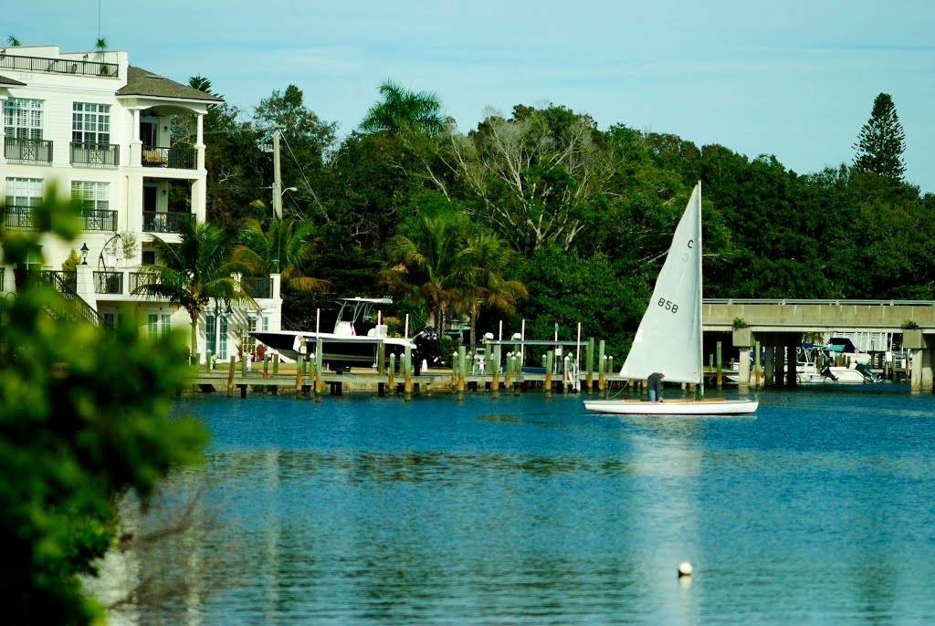 Sarasota Bay by samfeltus