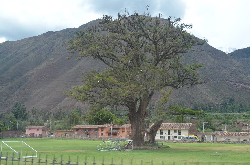 Peru (83848050) by Viktor Bakhmutov