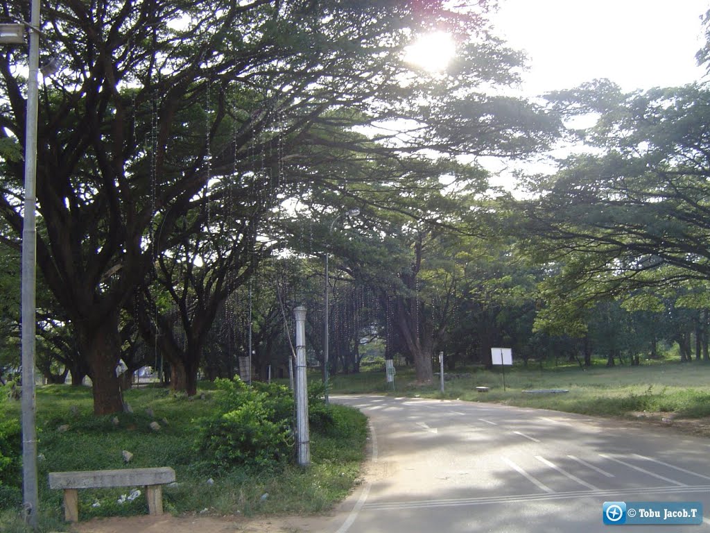 Bangalore Palace Rd, Karnataka by Tobu Jacob.T