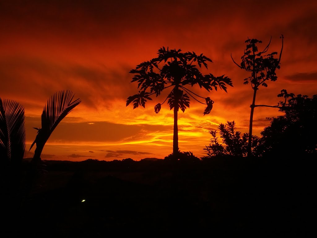 Céu em chamas. by natojung