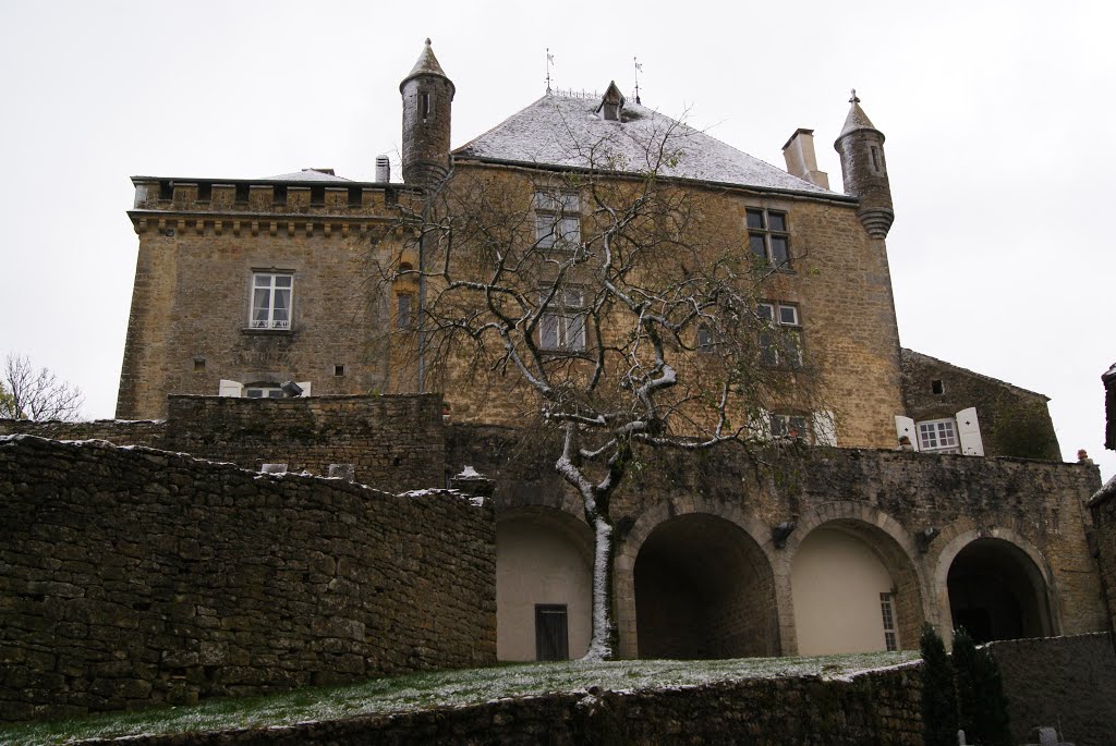 Château de Frontenay by glaurent