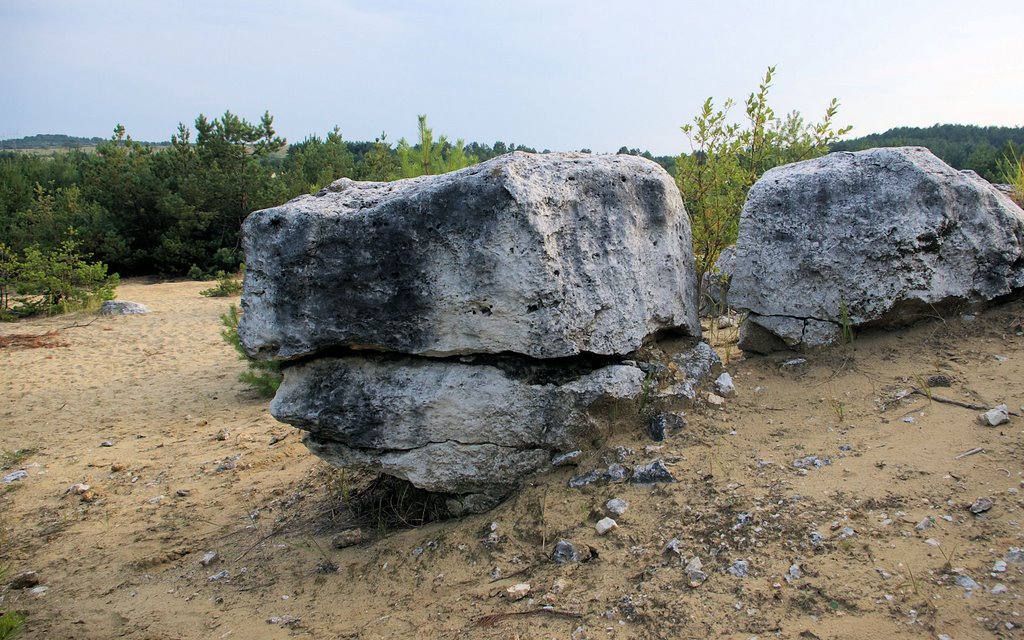 Skałki na Pustyni Siedleckiej by Takimirimo