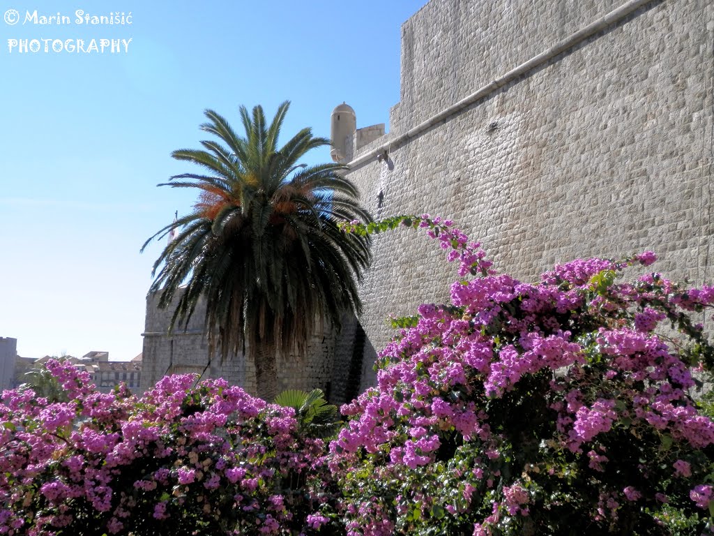 Dubrovnik, Croatia - Detail from Ploče by Marin Stanisic