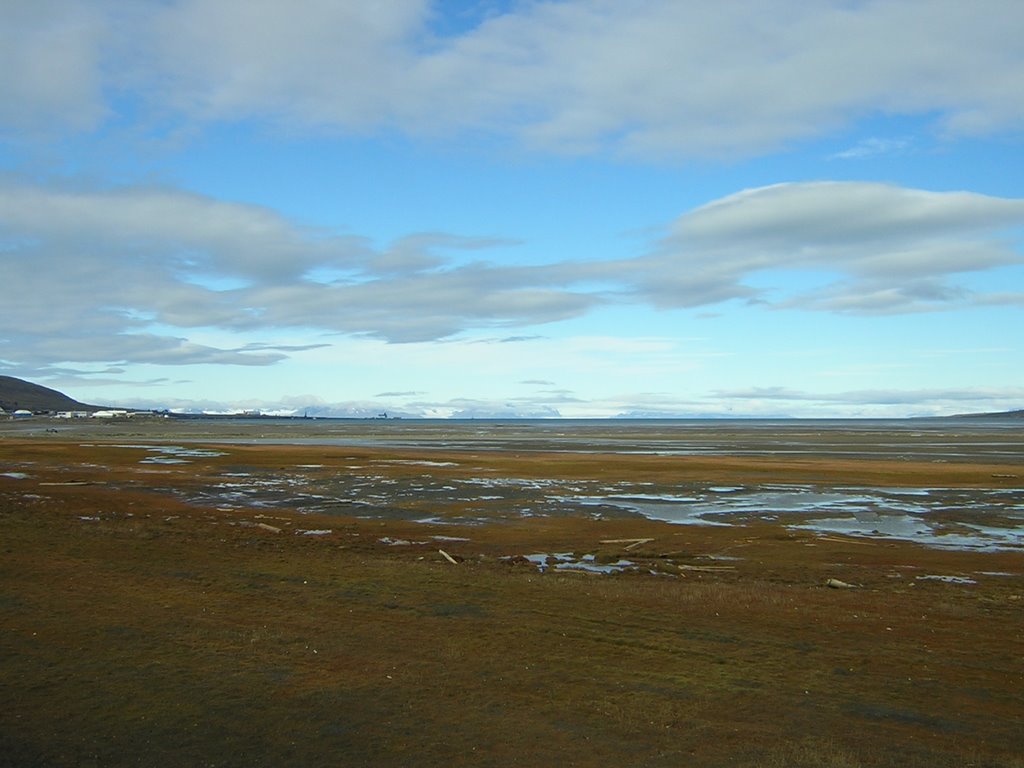 Svalbard (Norway), summer 2005 by rdaniel