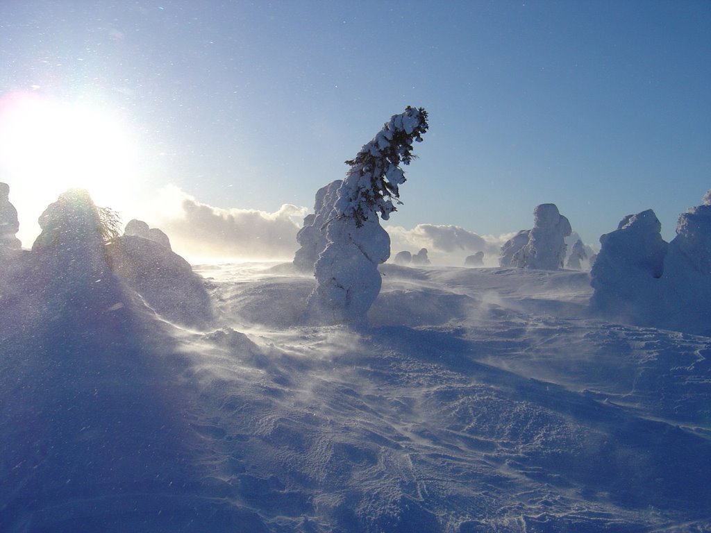 High wind in Luosto fell top by Mikko Reenilä