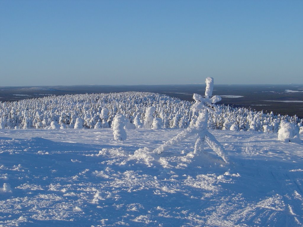 North-west view from mid Luosto fell top by Mikko Reenilä