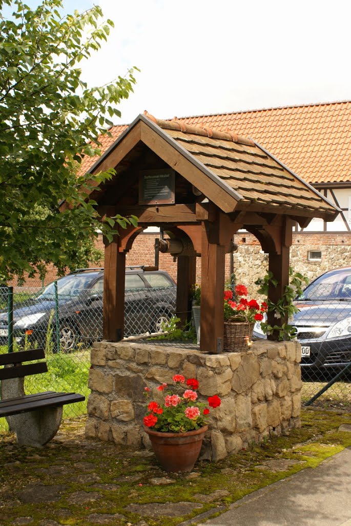 Dorfbrunnen Neuhof (Harz) by Altmeister