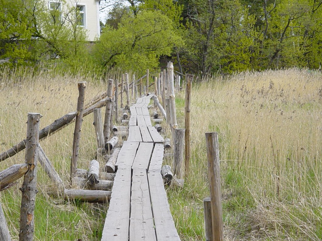 Pukkisaari path in summer by Mikko Reenilä