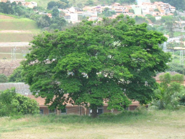 Vila Arens/Vila Progresso, Jundiaí - SP, Brazil by Jose Luis Nogueira