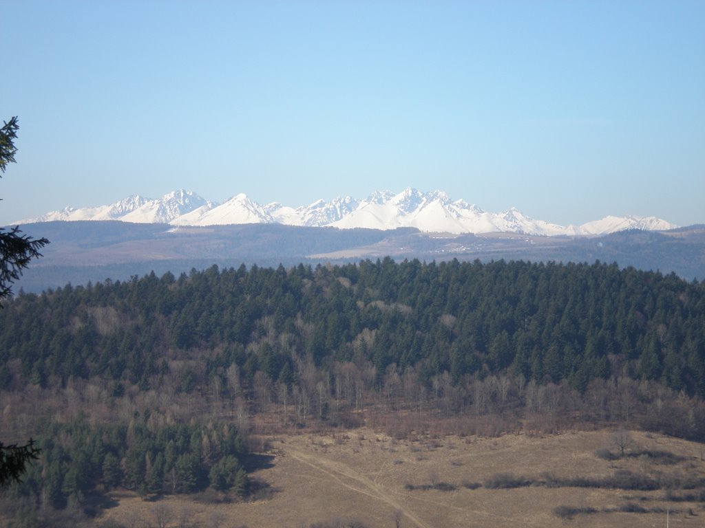 Tatry z Braniska by Viera Obrinova