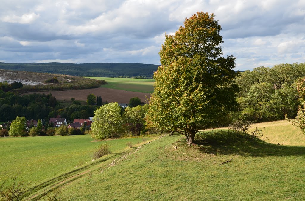 Auf dem Schlechteberg by Lumixx