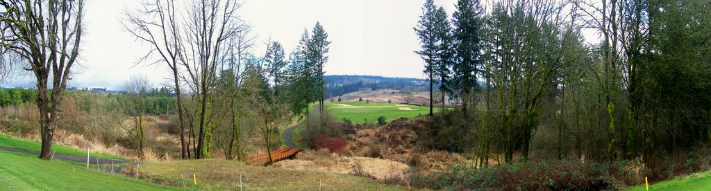 Chehalem Glen Hole #5 by ptlpride