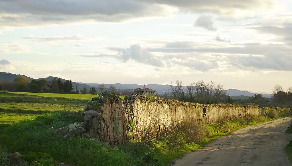 Paseo al atardecer by tgya