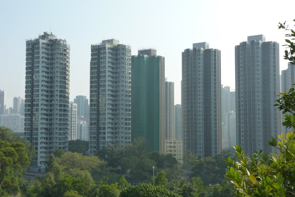 High-rises in Tsuen Wan, seen from the North by Sven Mueller