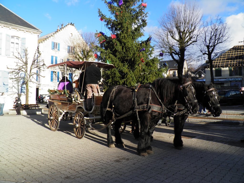 Villard de Lans by Charbela