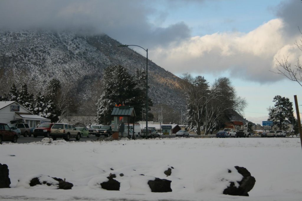 The base of Mt Elden - looking East by zacholio