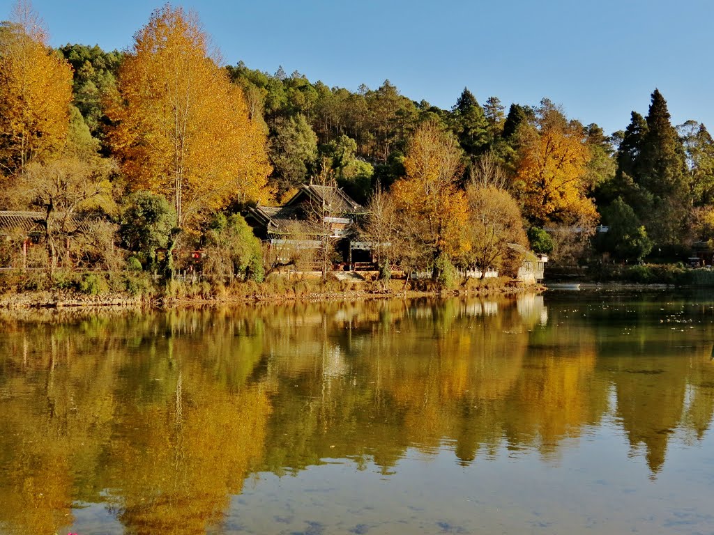 Lijiang 麗江 - 黑龍潭公園 Black Dragon Lake Park by Peter Mok