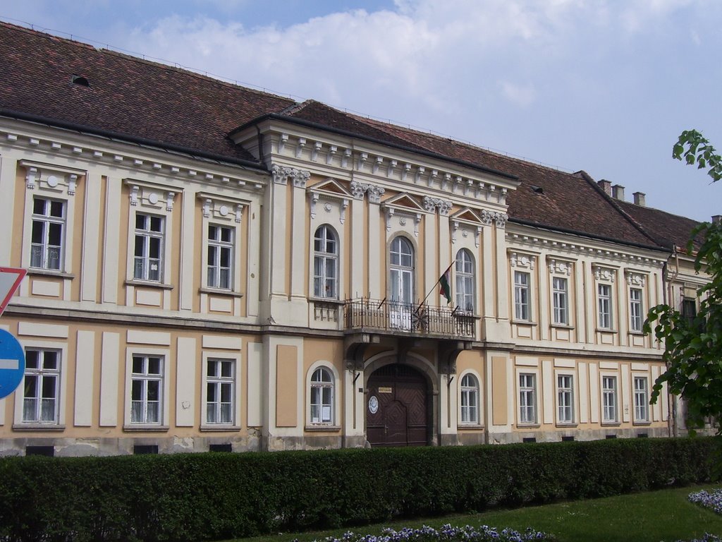 Székesfehérvár, Hungary by Gáspár Norbert Pál