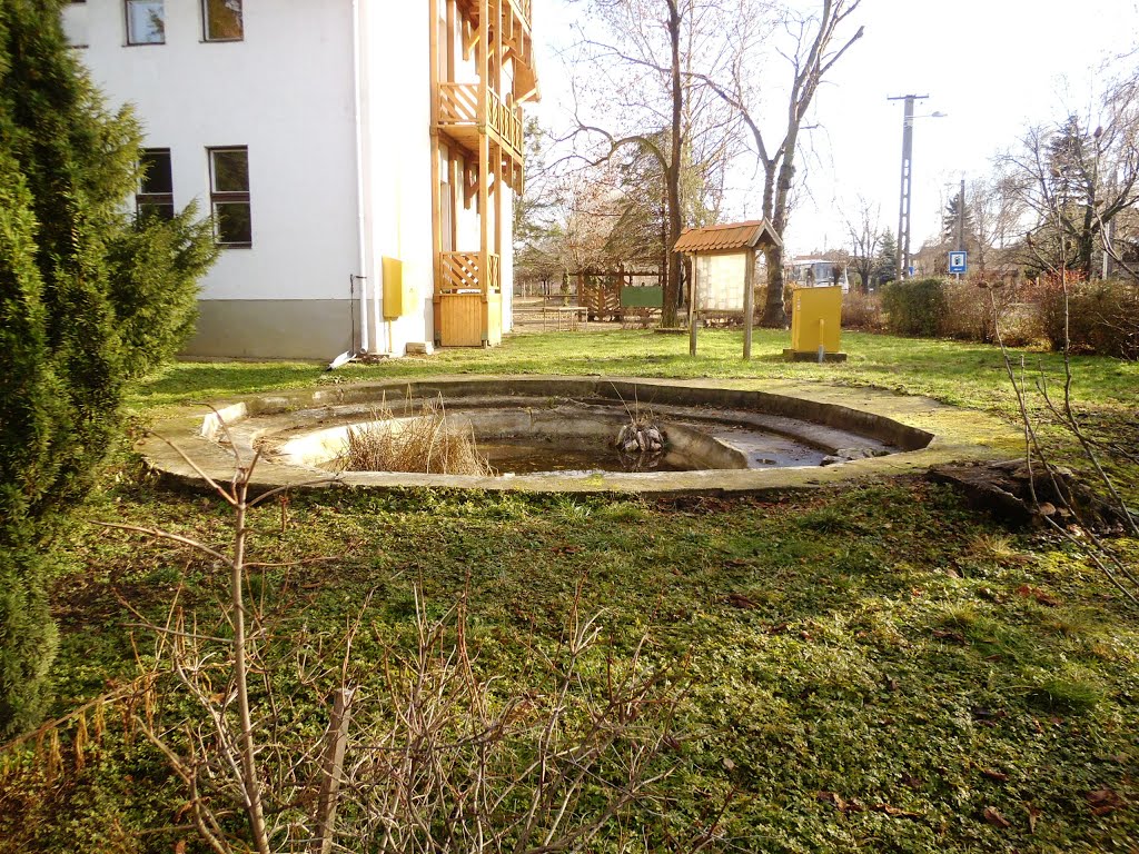 Chernel István Általános Iskola, Gimnázium és Kollégium és Alapfokú Művészetoktatási Intézmény \\ Garden of the Istvan Chernel Primary, Secondary School & Primary Art School 15 by peppe maci