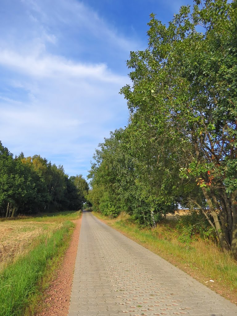 Erzgebrigsnordrandstufe - Eisenweg by Rudolf Henkel