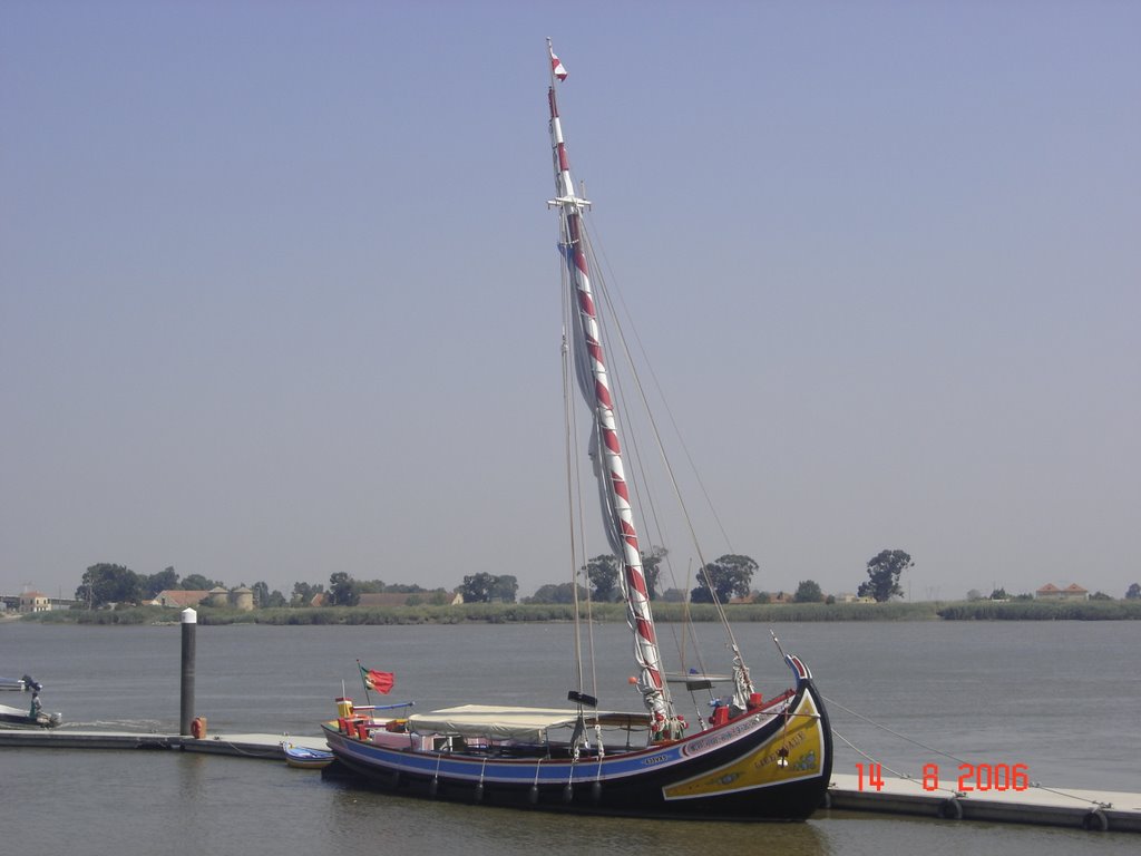 Traditional Boat by Helder Loureiro