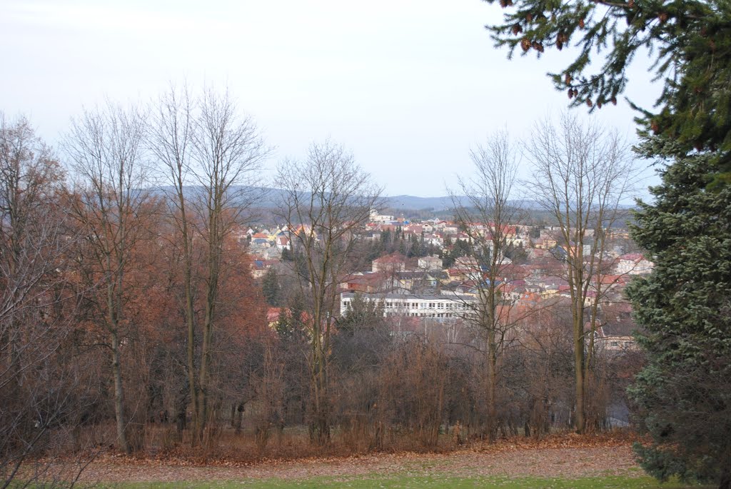 Příbram pohled ze Svatohorské aleje na severní část, view from Holy Mountain Alley to the northern part ot the town by jerpencz