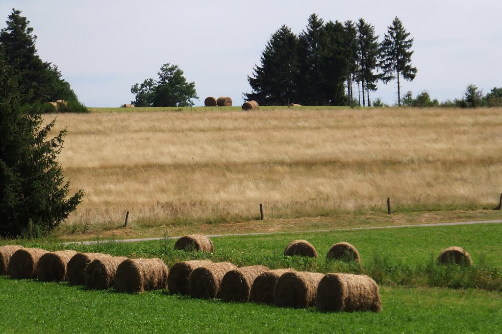 Charémont, Vosges by Nidoo