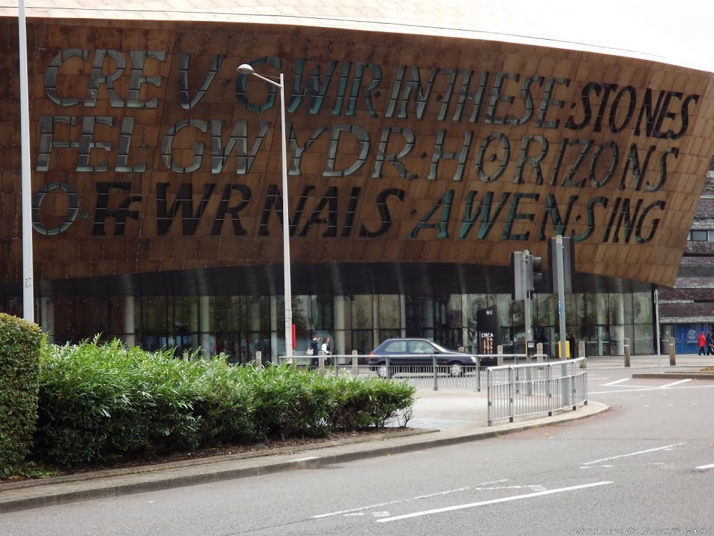 Cardiff - Wales Millenium Center by Alessandro Nessenzia