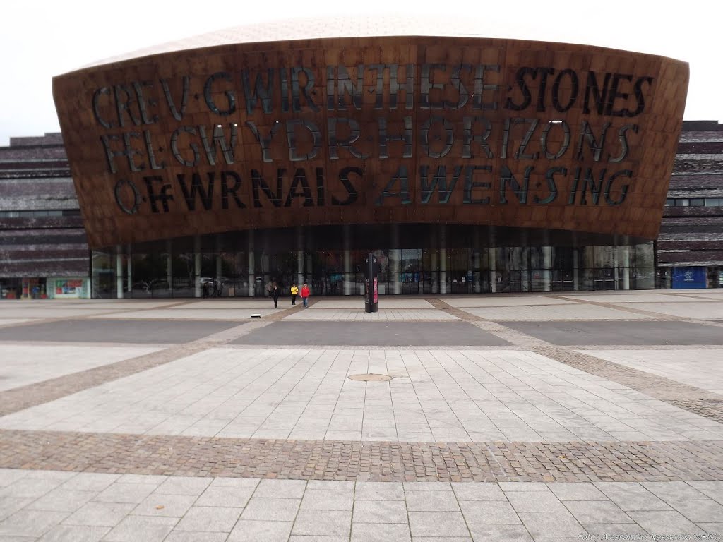 Cardiff - Wales Millenium Center by Alessandro Nessenzia