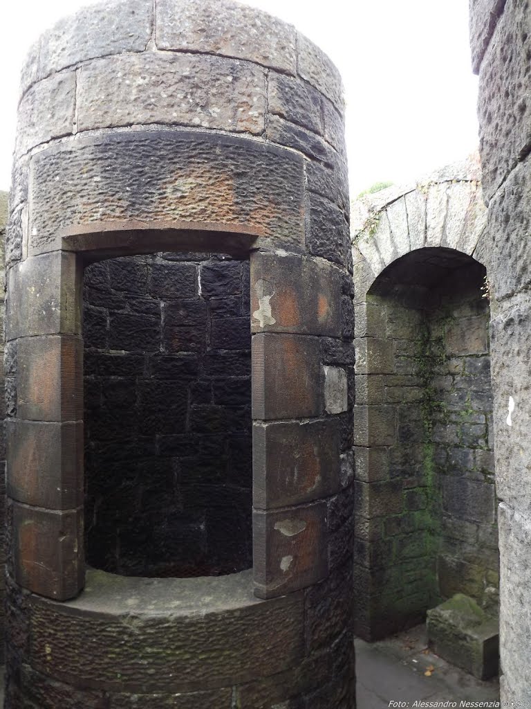 Cardiff - Castle Well by Alessandro Nessenzia