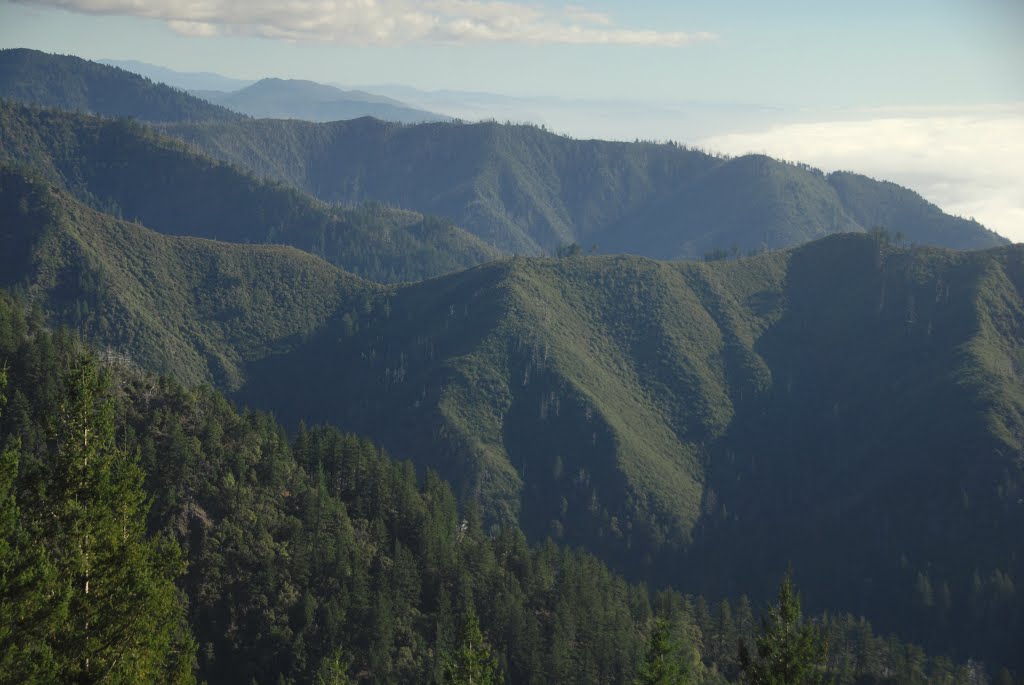 King Range View, Humboldt County, California by Damon Tighe