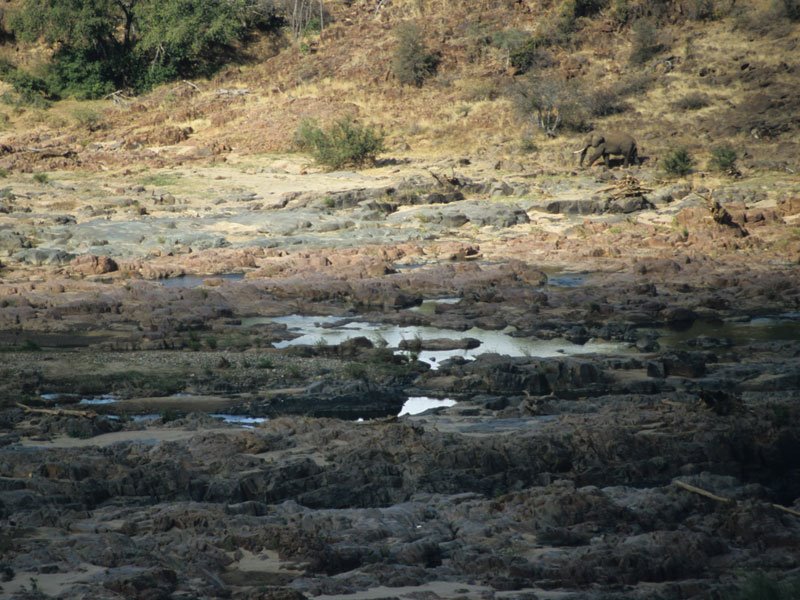 Olifants Camp 2006, east view by Duncan Wallace