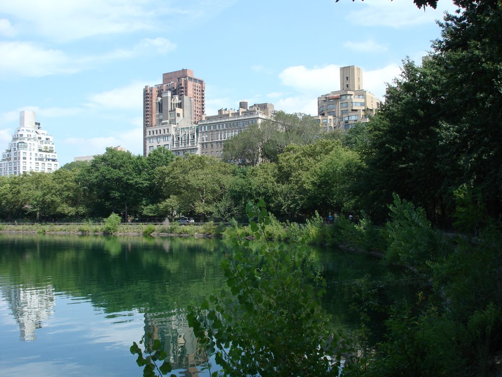 Fifth Avenue from Reservoir by msa