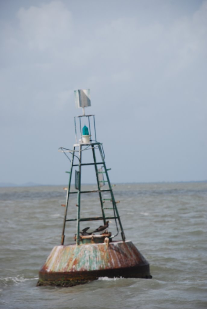 Sinalizador na Baia Sul da Ilha de Santa Catarina by Eber Beck