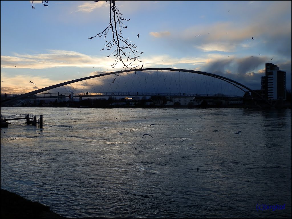 THREE COUNTRIES BRIDGE - WEIL AM RHEIN by birgitof