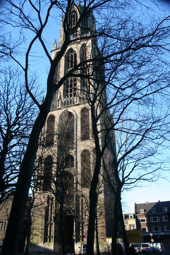 Former trees in front of Dom-tower at Domplein Utrecht by Carl030nl