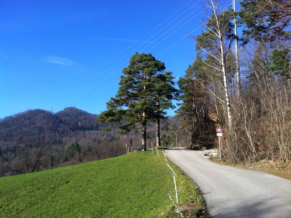 Way from Trimbach (near Olten) up to Froburg by Rucci