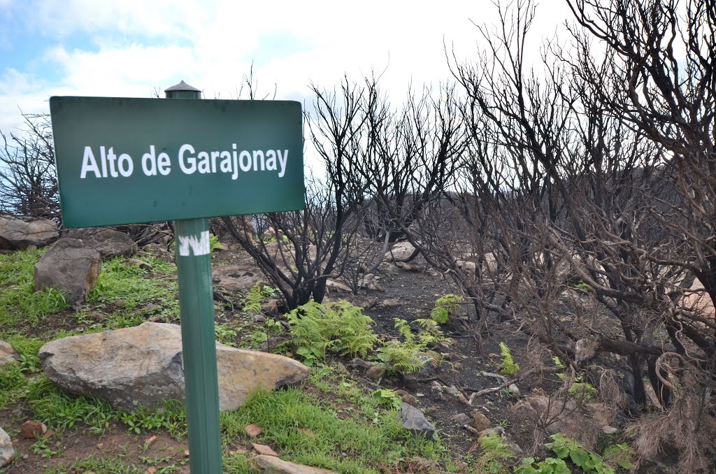 DSC_0165 Alto de Garajonay 2012 by Jean-Marc Matthey