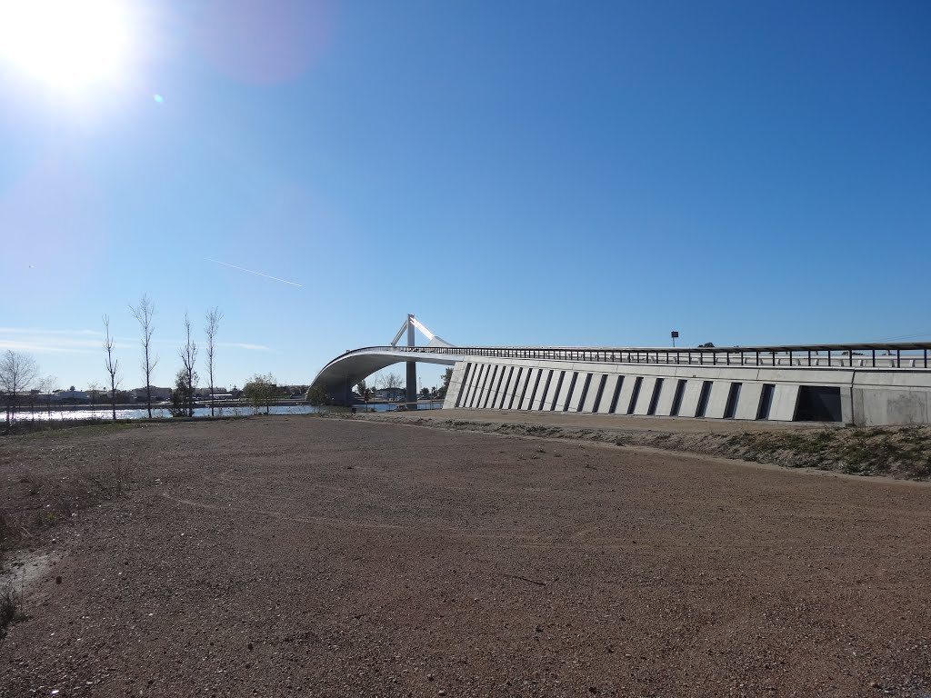 Pont Lo Passador, entre Sant Jaume d'Enveja i Deltebre (desembre 2012) by EliziR