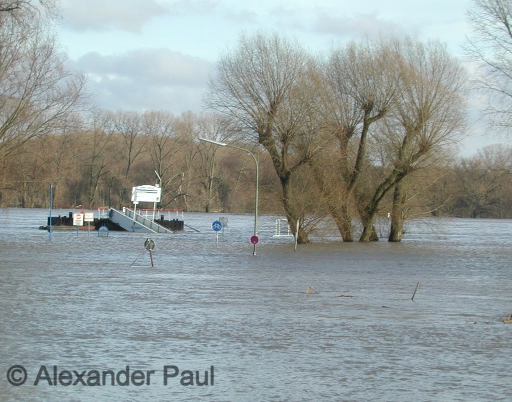 Hochwasser bei Zons by Alexander Paul