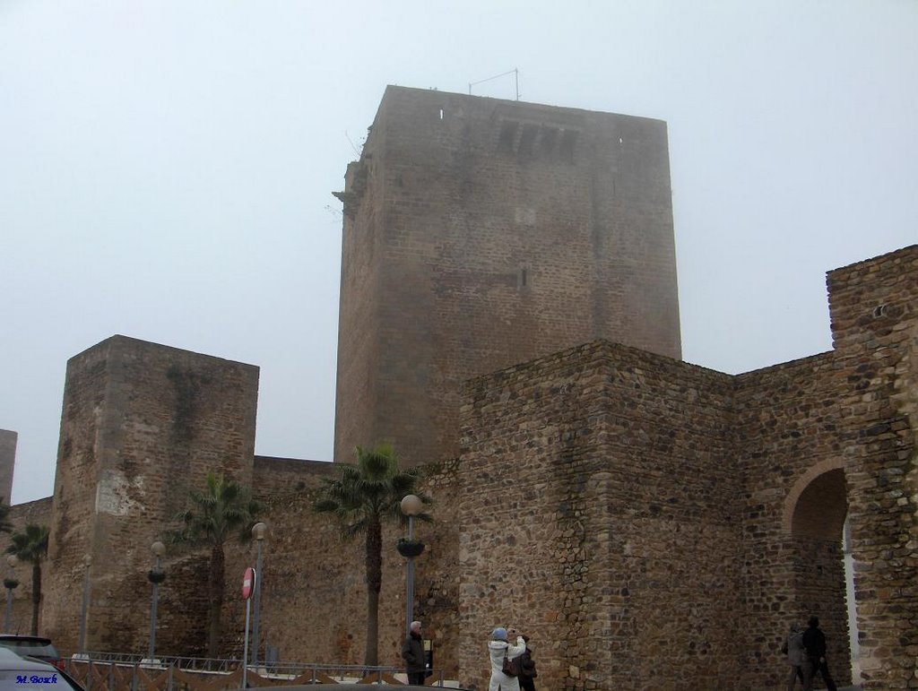 Castillo de Olivenza desde el Foso by M.Bosch